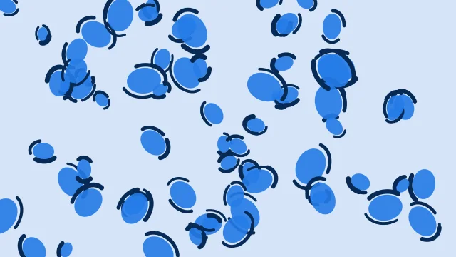 Blue Energy leopard print background — free HD blue energy color wallpaper 1920x1080