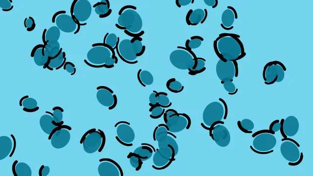 Blue Green leopard print background — free HD blue green color wallpaper 1920x1080