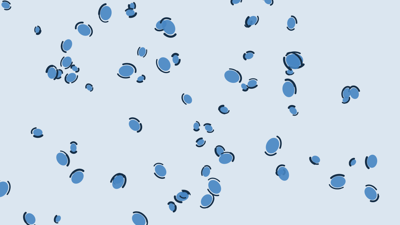 Blue Grey leopard print background — free HD blue grey color wallpaper 1920x1080