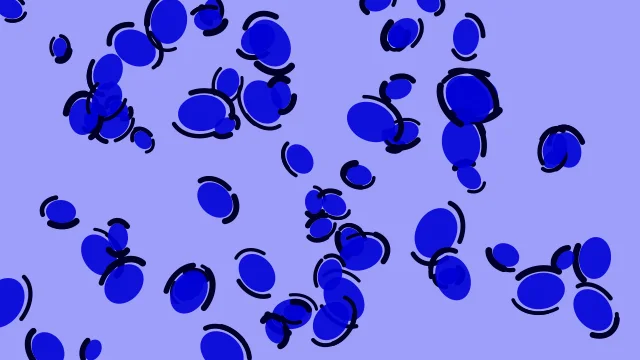 Blue leopard print background — free HD blue color wallpaper 1920x1080