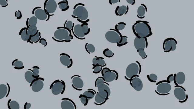 Blue Slate leopard desktop wallpaper — free 4K blue slate wallpaper 3840x2160