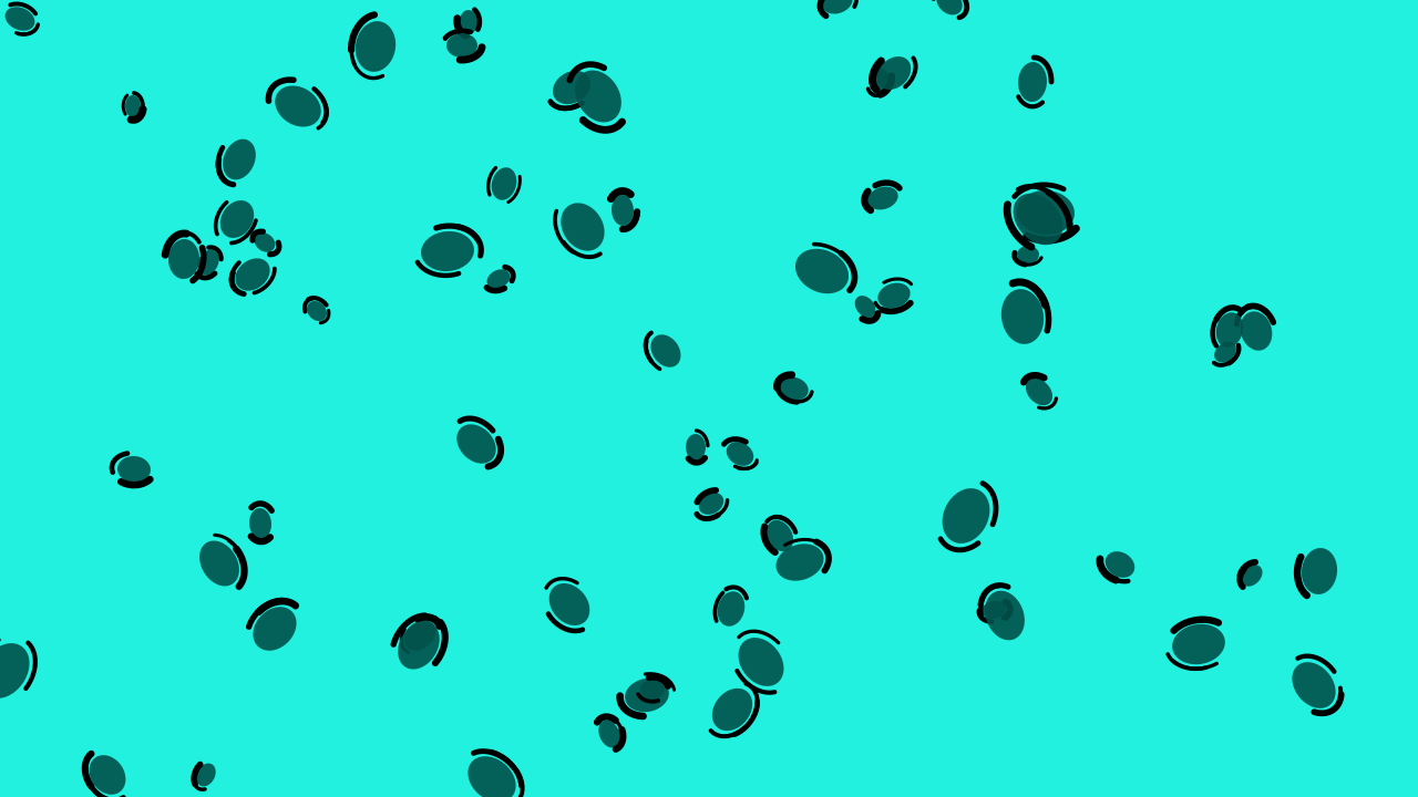 Blue Spruce leopard print background — free HD blue spruce color wallpaper 1920x1080