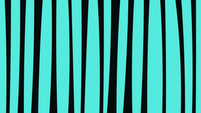 Blue Spruce zebra print background — free HD blue spruce color wallpaper 1920x1080