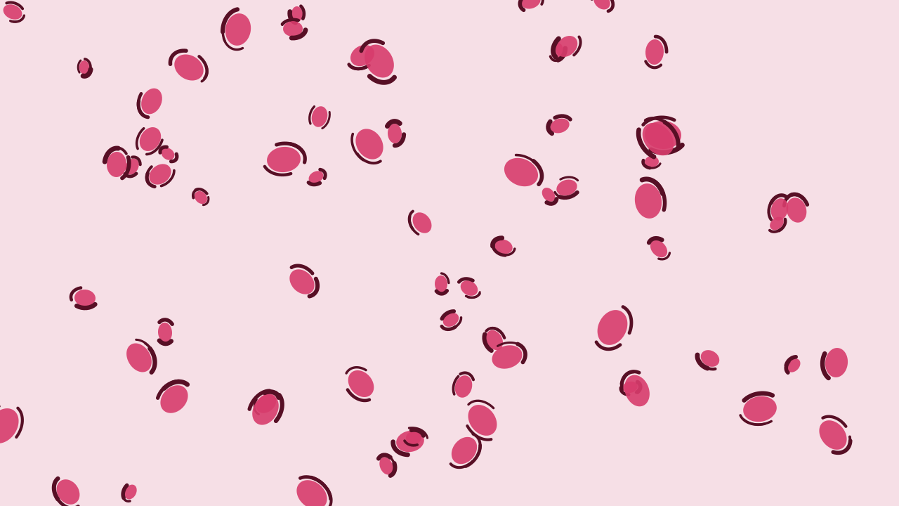 Blush Rose leopard print background — free HD blush rose color wallpaper 1920x1080