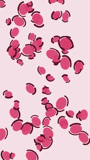 Blush Rose leopard phone wallpaper — free HD blush rose mobile wallpaper 1080x1920