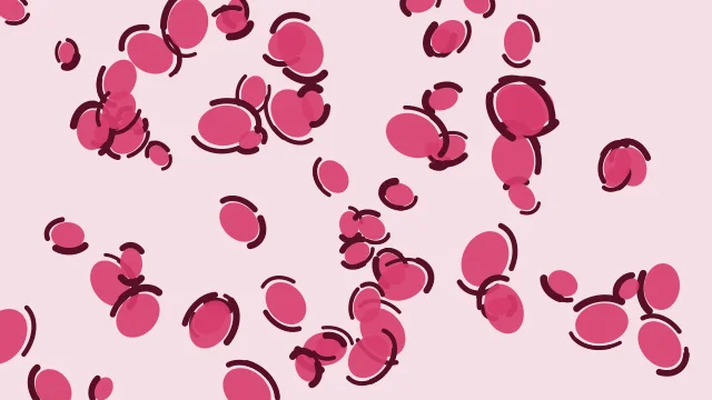 Blush Rose leopard print background — free HD blush rose color wallpaper 1920x1080