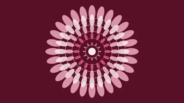 Blush Rose mandala background — free HD blush rose color wallpaper 1920x1080