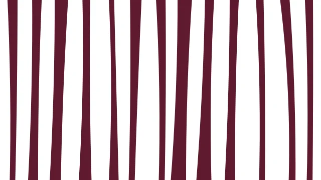 Blush Rose zebra print background — free HD blush rose color wallpaper 1920x1080