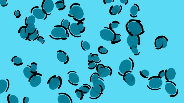 Bondi Blue leopard print background — free HD bondi blue color wallpaper 1920x1080