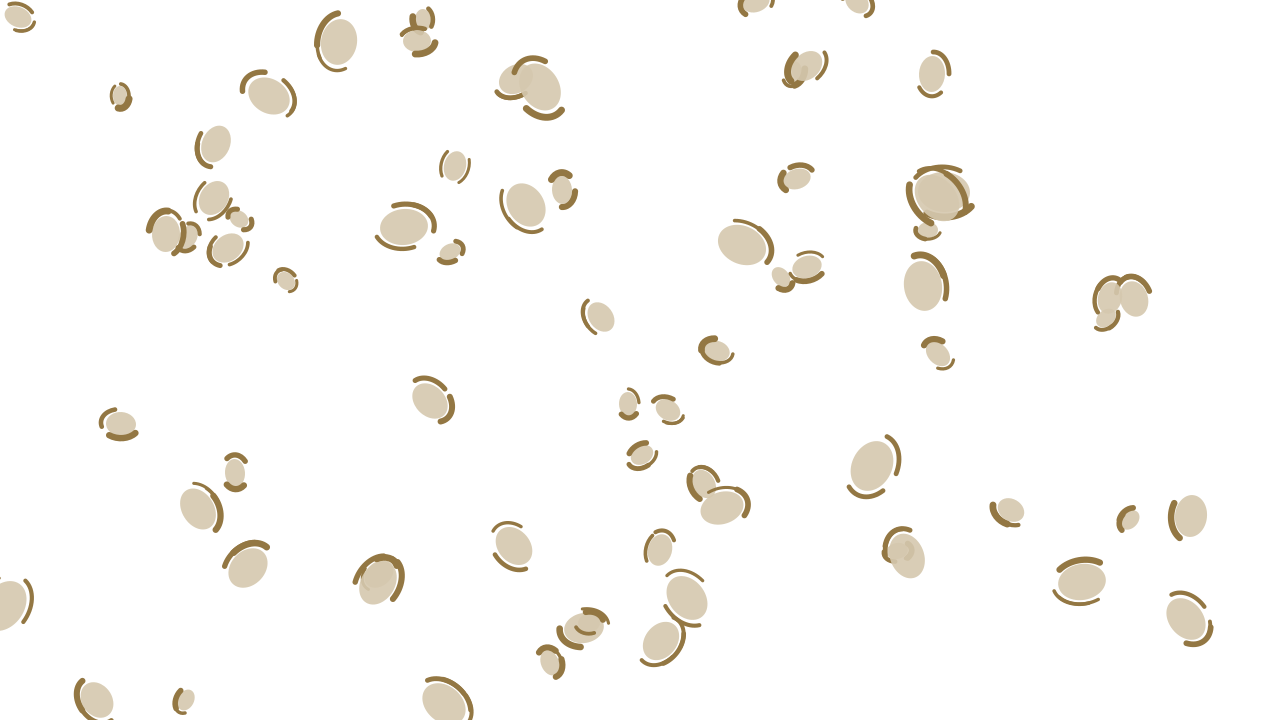 Bone leopard print background — free HD bone color wallpaper 1920x1080