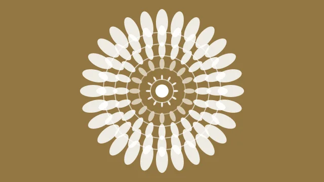 Bone mandala background — free HD bone color wallpaper 1920x1080