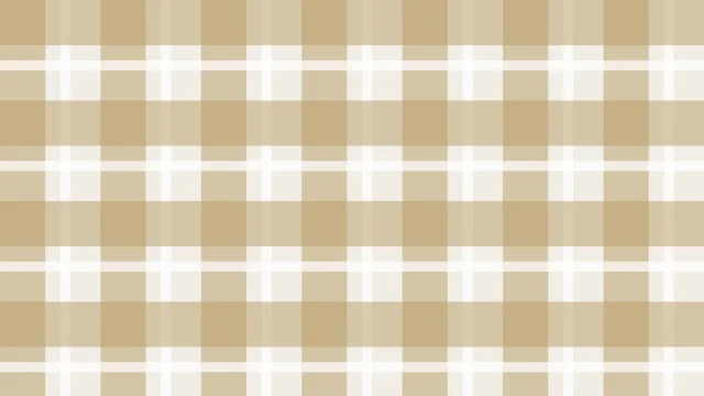 Bone plaid background — free HD bone color wallpaper 1920x1080