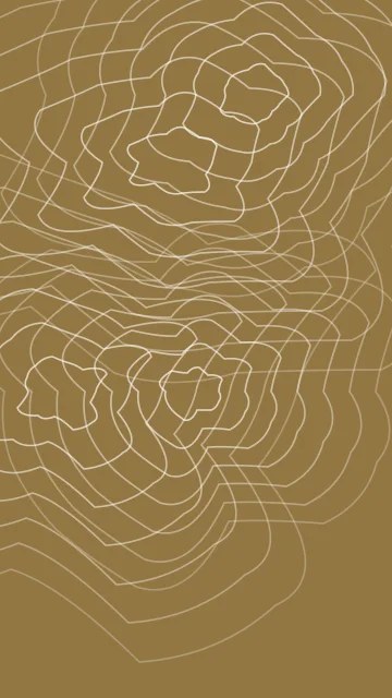 Bone topographic phone wallpaper — free HD bone mobile wallpaper 1080x1920