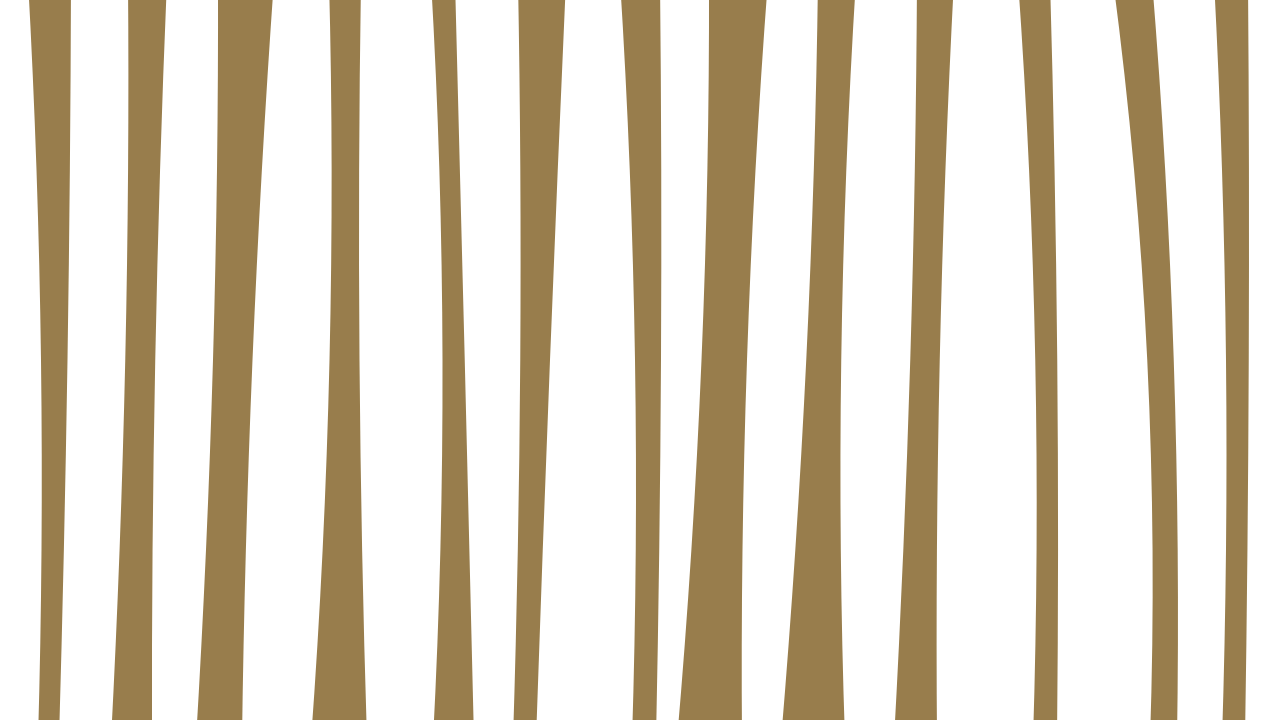 Bone zebra print background — free HD bone color wallpaper 1920x1080