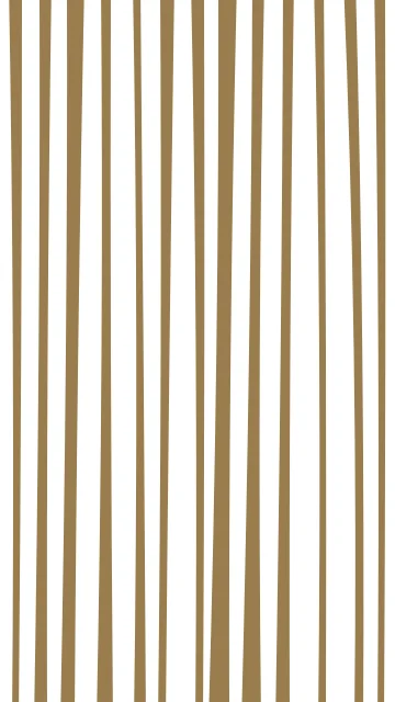 Bone zebra phone wallpaper — free HD bone mobile wallpaper 1080x1920