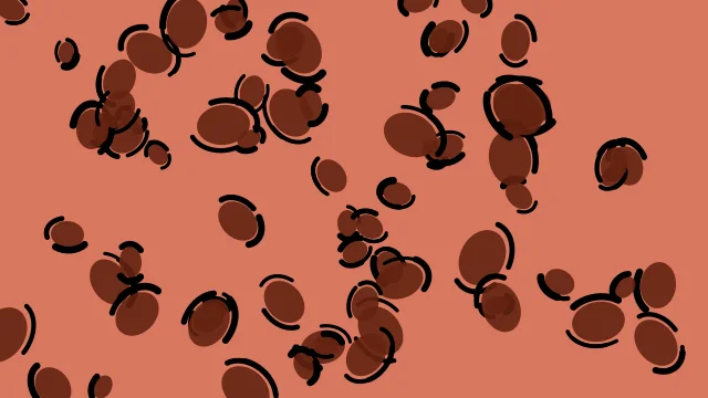 Brandy leopard print background — free HD brandy color wallpaper 1920x1080