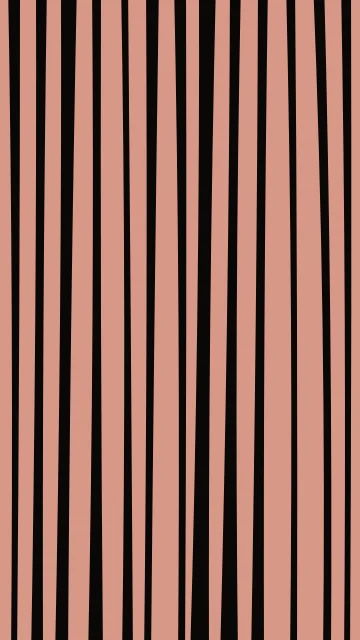 Brandy zebra phone wallpaper — free HD brandy mobile wallpaper 1080x1920