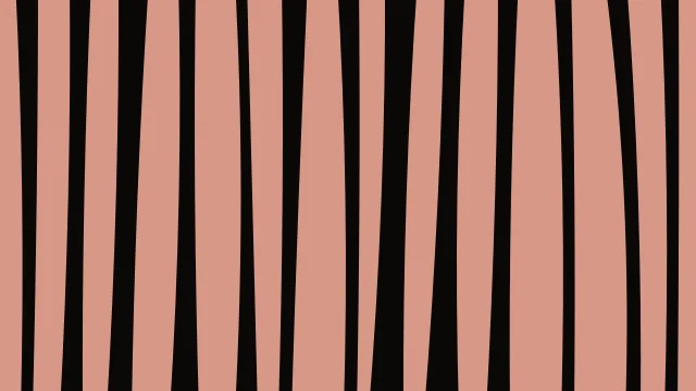 Brandy zebra print background — free HD brandy color wallpaper 1920x1080