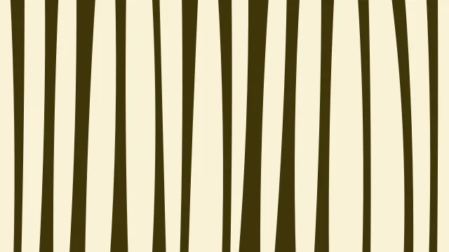 Bright Amber zebra print background — free HD bright amber color wallpaper 1920x1080