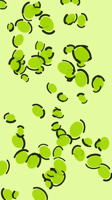 Bright Chartreuse leopard phone wallpaper — free HD bright chartreuse mobile wallpaper 1080x1920