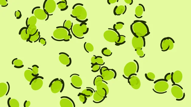 Bright Chartreuse leopard print background — free HD bright chartreuse color wallpaper 1920x1080