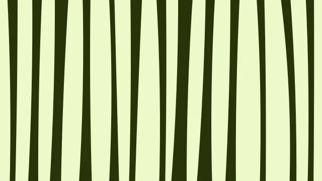 Bright Chartreuse zebra print background — free HD bright chartreuse color wallpaper 1920x1080