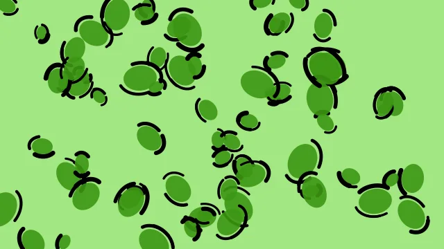 Bright Fern leopard print background — free HD bright fern color wallpaper 1920x1080