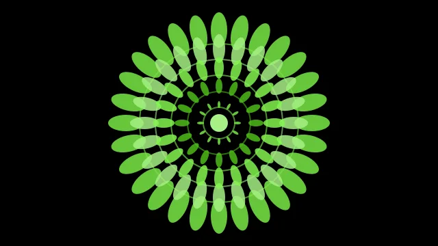 Bright Fern mandala background — free HD ramadan background