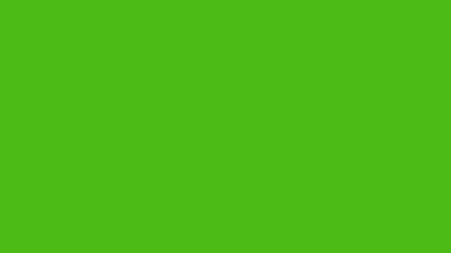 Bright Fern plain solid background — free HD bright fern color wallpaper 1920x1080