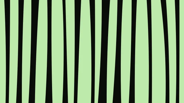 Bright Fern zebra print background — free HD bright fern color wallpaper 1920x1080