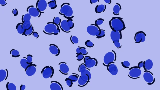 Bright Indigo leopard print background — free HD bright indigo color wallpaper 1920x1080