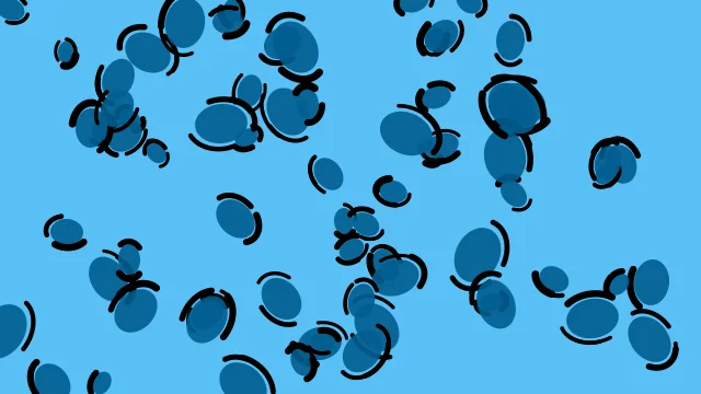 Bright Teal Blue leopard print background — free HD bright teal blue color wallpaper 1920x1080