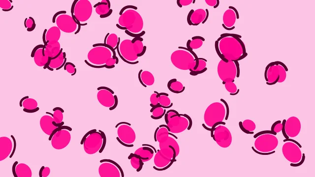 Brilliant Rose leopard desktop wallpaper — free 4K brilliant rose wallpaper 3840x2160