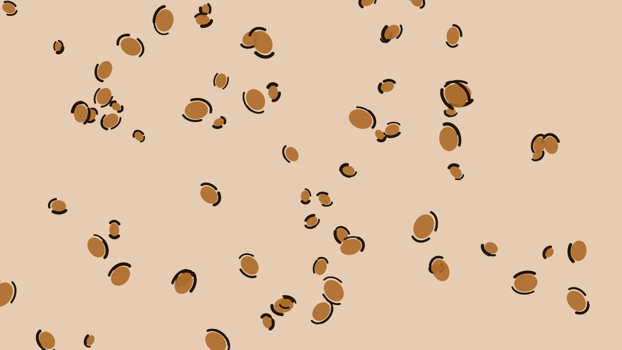 Bronze leopard print background — free HD bronze color wallpaper 1920x1080