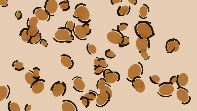 Bronze leopard desktop wallpaper — free 4K bronze wallpaper 3840x2160