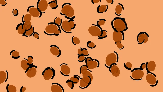 Bronze Spice leopard print background — free HD bronze spice color wallpaper 1920x1080