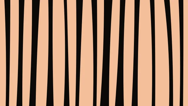 Bronze Spice zebra print background — free HD bronze spice color wallpaper 1920x1080