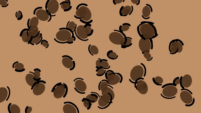 Brown Bark leopard print background — free HD brown bark color wallpaper 1920x1080