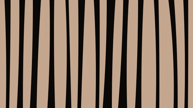 Brown Bark zebra print background — free HD brown bark color wallpaper 1920x1080