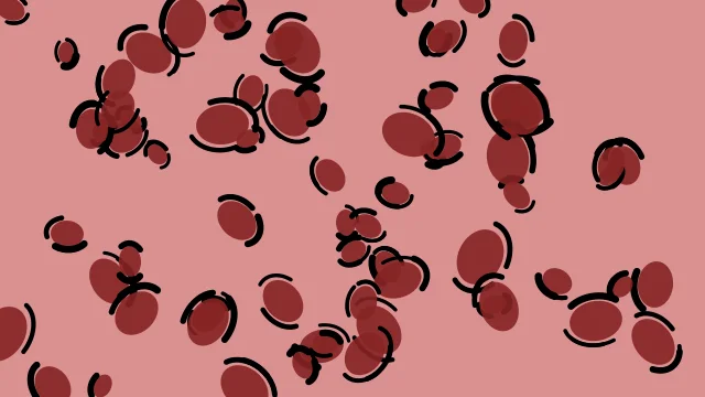 Brown leopard desktop wallpaper — free 4K brown wallpaper 3840x2160