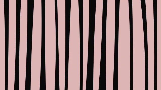 Brown zebra desktop wallpaper — free 4K brown wallpaper 3840x2160