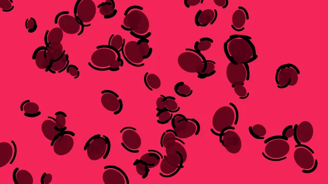 Burgundy leopard print background — free HD burgundy color wallpaper 1920x1080