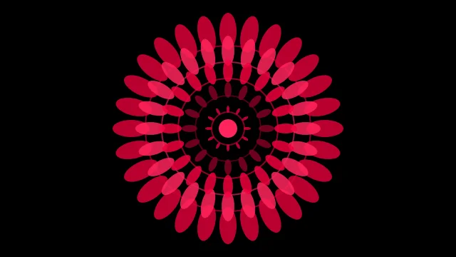 Burgundy mandala background — free HD burgundy color wallpaper 1920x1080
