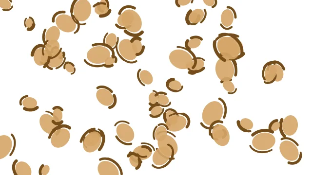 Burly Wood leopard print background — free HD burly wood color wallpaper 1920x1080