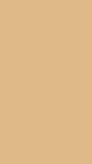 Burly Wood solid phone wallpaper — free HD burly wood mobile wallpaper 1080x1920