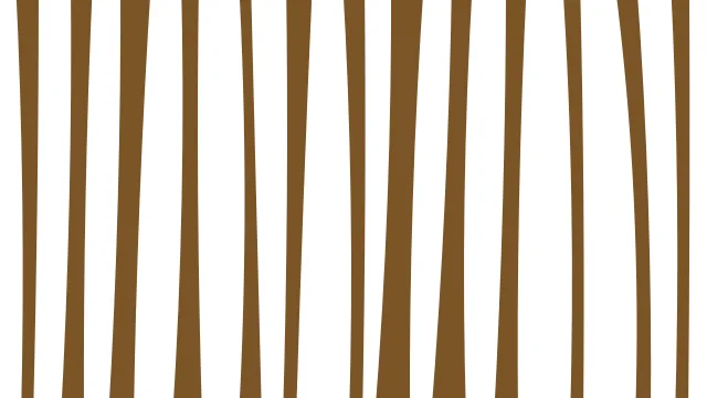 Burly Wood zebra print background — free HD burly wood color wallpaper 1920x1080