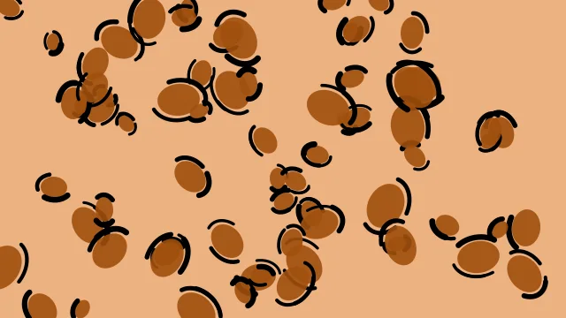 Burnt Caramel leopard desktop wallpaper — free 4K burnt caramel wallpaper 3840x2160