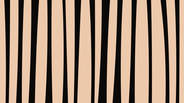 Burnt Caramel zebra desktop wallpaper — free 4K burnt caramel wallpaper 3840x2160