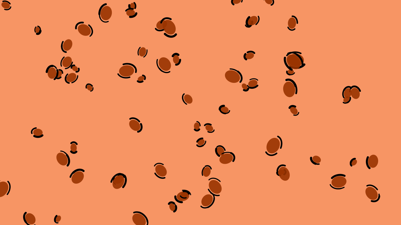 Burnt Orange leopard print background — free HD burnt orange color wallpaper 1920x1080