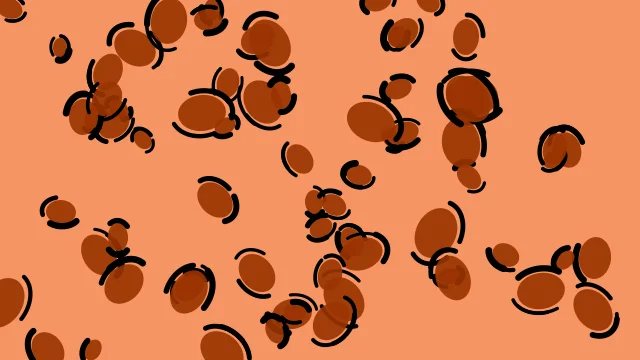Burnt Orange leopard print background — free HD burnt orange color wallpaper 1920x1080